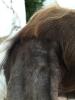 head4.jpg